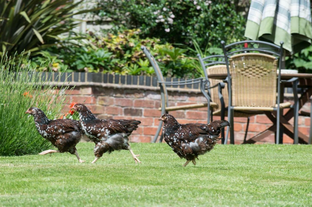 Moreton Hall Farm Bed and Breakfast Newport  Exteriör bild